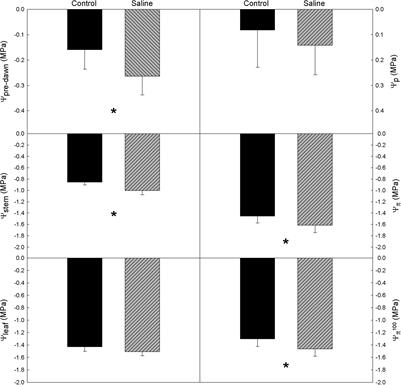 Physiological and Transcriptional Responses to Saline Irrigation of Young ‘Tempranillo’ Vines Grafted Onto Different Rootstocks